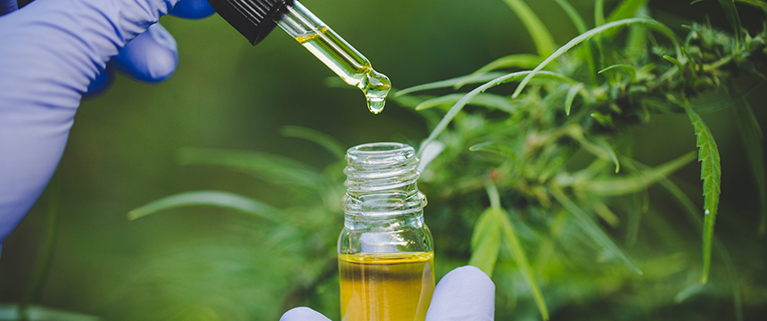 A gloved hand holds a dropper above a small glass bottle of yellow liquid with a cannabis plant in the background, possibly for analysis or evidence in litigation support at a corporate law office.