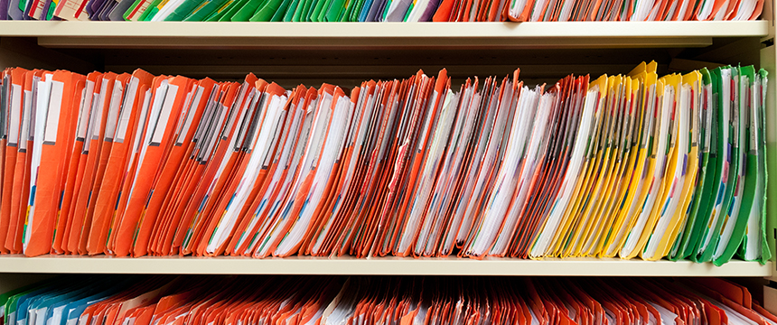 Shelves filled with rows of colorful, organized file folders, each labeled and containing documents—ready to provide chicago lawyers with essential litigation support or manage intellectual property law cases efficiently.