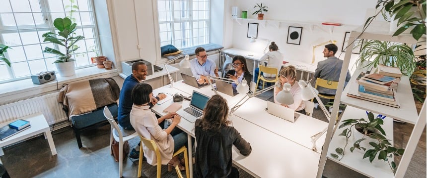A group of people work at tables with laptops and papers in a bright, modern corporate law office with large windows and plants, capturing the collaborative spirit of Chicago lawyers.