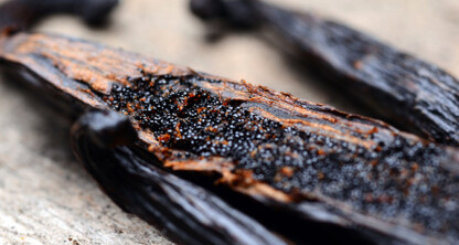 Close-up of a split vanilla bean pod, showing dark seeds and textured interior on a light surface—ideal for presentations or materials related to intellectual property law in culinary or flavor patent cases.