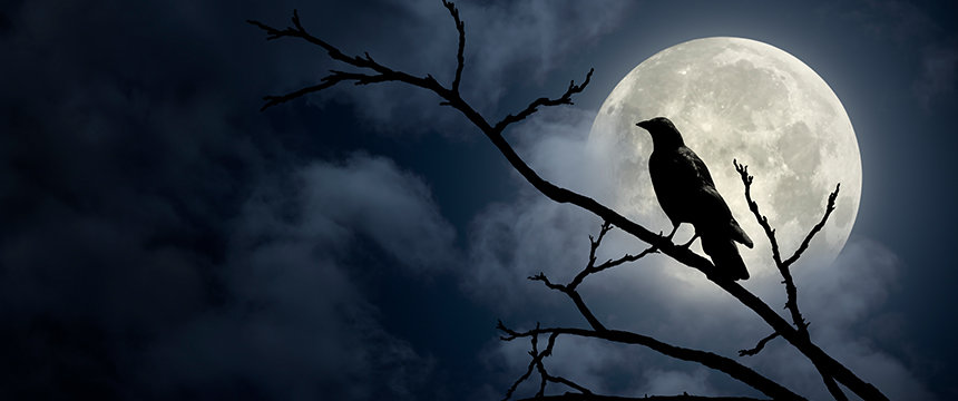 A silhouette of a bird, likely a crow, perched on a bare tree branch in front of a full moon with dark clouds—a scene reminiscent of the mysterious ambiance found in historic law offices in Chicago.