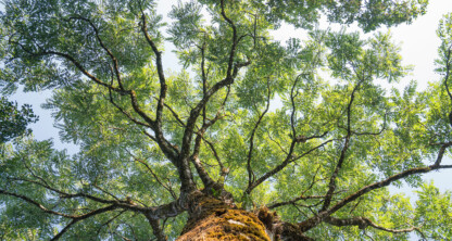 Family Office Hero Image.