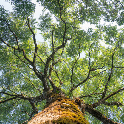 Family Office Hero Image.