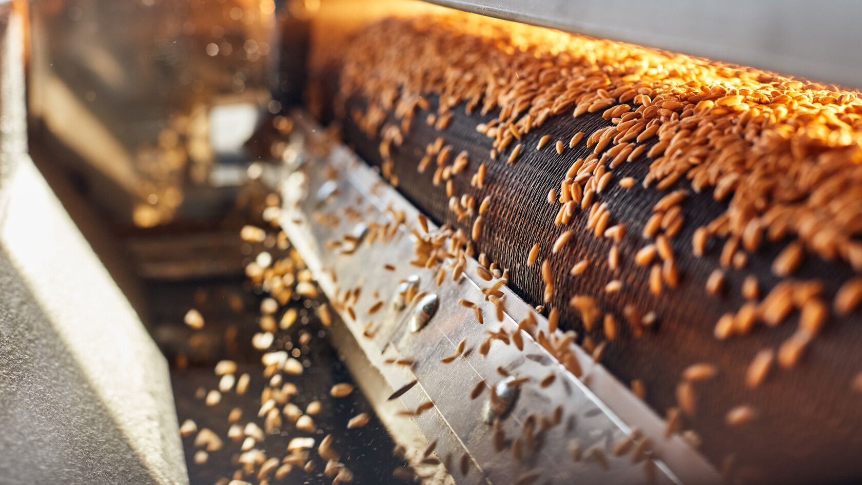 Close-up of wheat grains being processed on a conveyor belt in a milling facility, reminiscent of the meticulous attention to detail found in litigation support at top lawyers in Chicago.