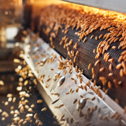 Close-up of wheat grains being processed on a conveyor belt in a milling facility, reminiscent of the meticulous attention to detail found in litigation support at top lawyers in Chicago.