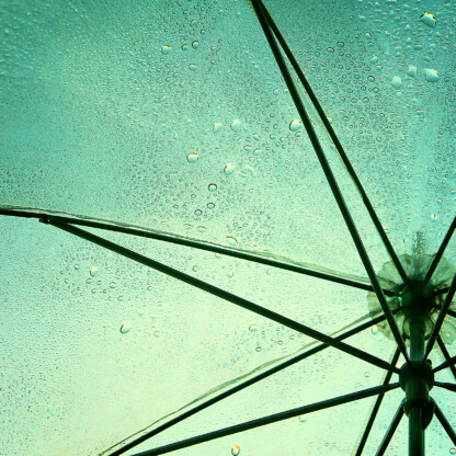 Insurance Hero Image.