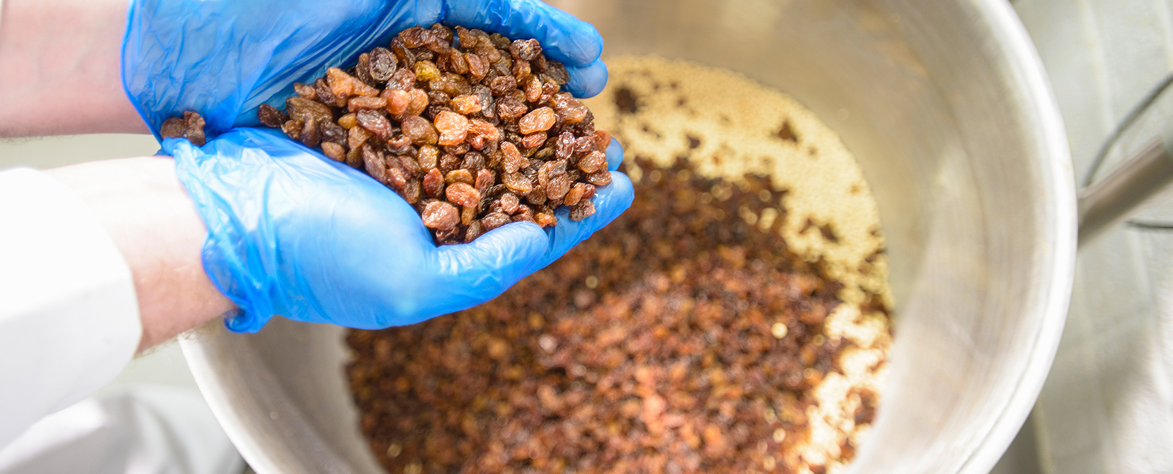 Person wearing blue gloves holds a handful of raisins over a large metal bowl filled with more raisins, much like lawyers in Chicago offering litigation support—one case at a time, adding value to the bigger picture.