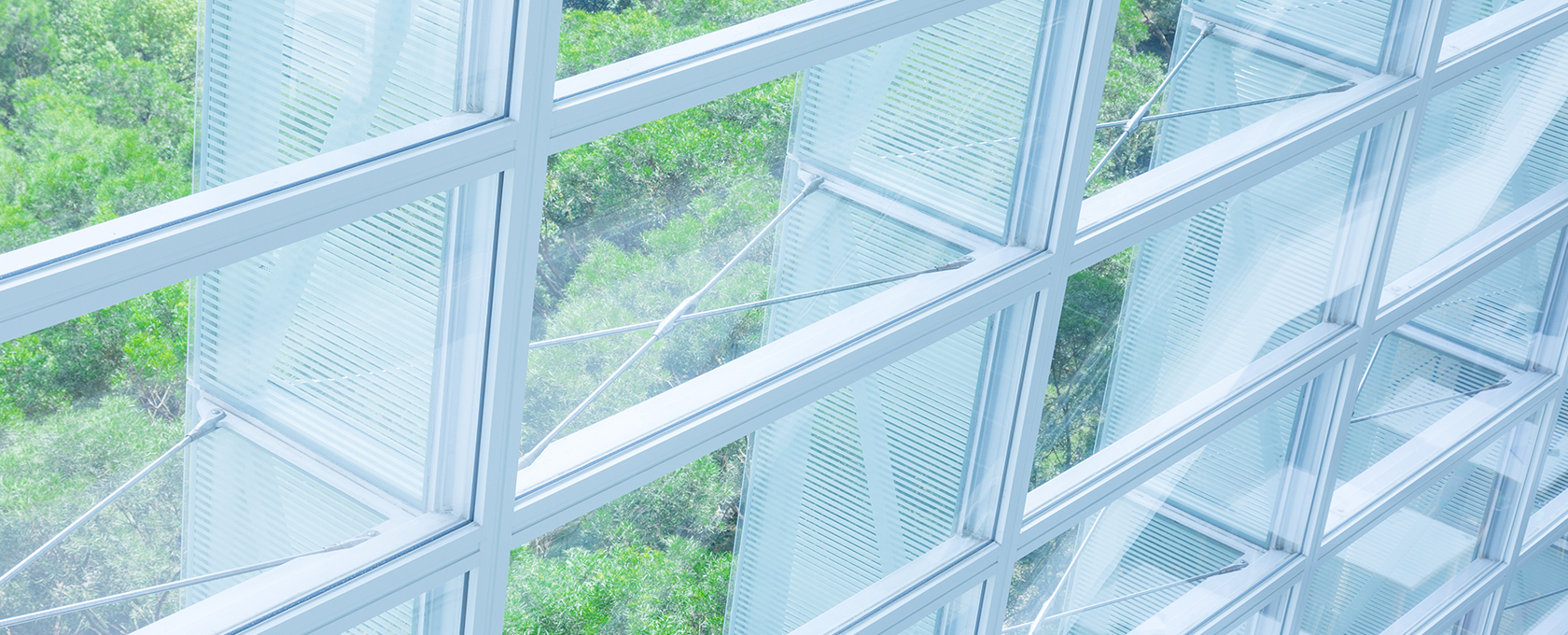 Large glass windows with metal frames provide a view of green trees outside, allowing natural light to enter the corporate law office.