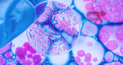 A gloved hand holds a petri dish with blue and purple bacterial cultures; the background features blurred, circular microscope imagery—much like an innovative discovery protected by intellectual property law.